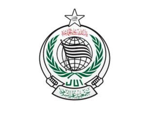 گدر کے مظلوم عوام پر جیٹ طیاروں کی بمباری کی مذمت کرتے ہیں، مولانا حیدری