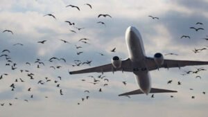 قومی اور نجی ایئرلائنز کے کرایوں میں غیر معمولی اضافہ