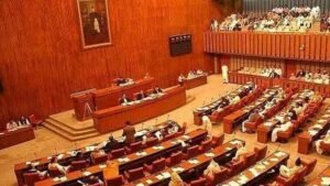 سینیٹ کمیٹی کی وفاقی حکومت کو 2 ہفتوں کے اندر 2 درجن وزارتیں و محکمے بند کرنے کی ہدایت