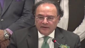 حکومت کا مقصد براہ راست فنڈنگ نہیں سرمایہ کاری آسان بنانا ہے، وزیر خزانہ