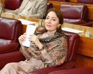 وزیرِ صحت رہنے کا کوئی جواز نہیں بچا، مصطفی کمال مستعفی ہوں، شرمیلا فاروقی