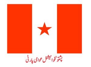 شاہرگ میں خلیفٹ پہاڑ کے دامن میں پیش آنیوالا واقعہ افسوسناک ہے، پشتونخوا نیشنل عوامی پارٹی